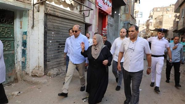 محافظ المنيا