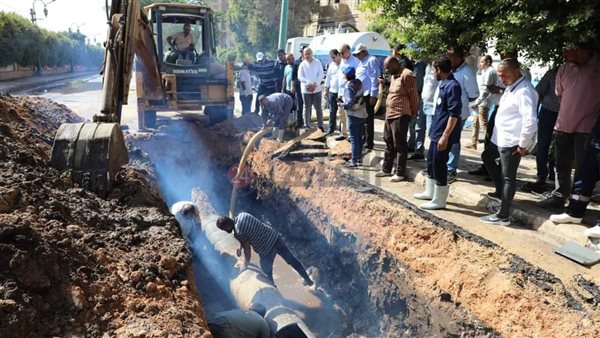 محافظ المنيا