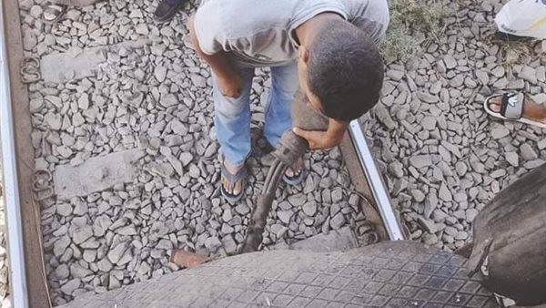 قطار 986 بالوجه القبلي