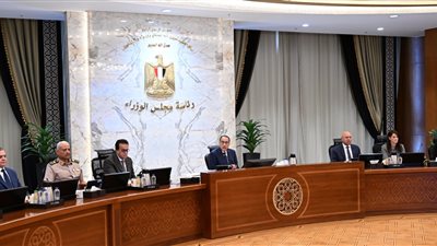 الحكومة توافق على قرار الرئيس بشأن تشكيل مجلس التنسيق الأعلى المصري السعودي