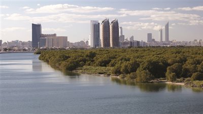 طقس الإمارات اليوم.. سحب تتكاثر شرقا وضباب كثيف محتمل