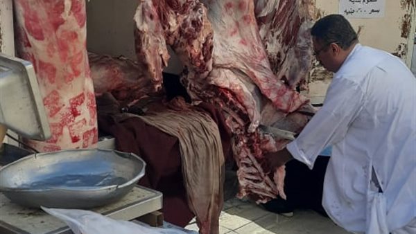 الزراعة تطلق 7 منافذ