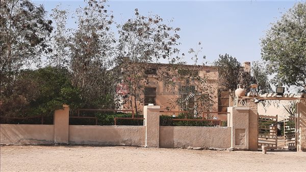 رواية دعاء الكروان