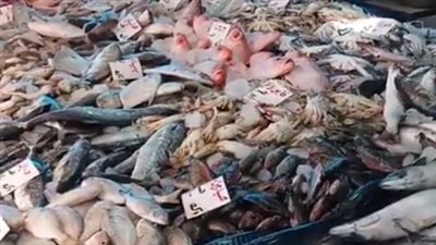 أسعار الأسماك اليوم الثلاثاء 1 أبريل 2025 في الأسواق