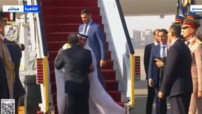 السيسي يستقبل رئيس دولة الإمارات بمطار القاهرة