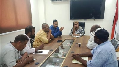 محافظ أسوان يوجه بسرعة إنهاء مشروعات حياة كريمة بقرية غرب سهيل