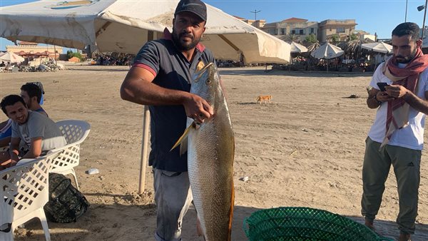 صيد الأسماك ببورسعيد