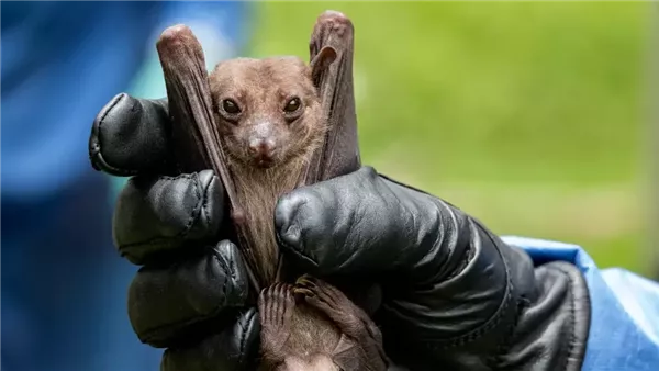 صورة تعبيرية