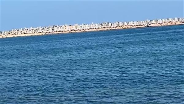 البحث عن غريق