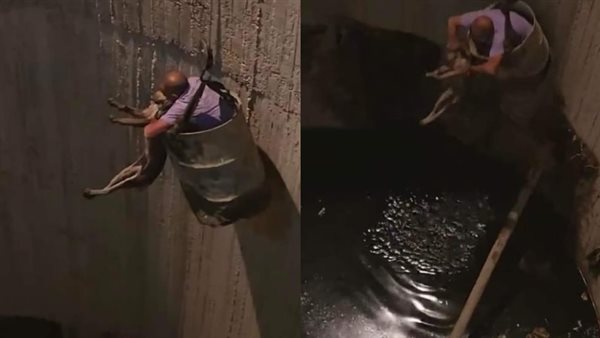 رجل ينقذ كلبا من