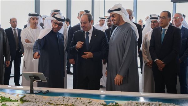 السيسي وبن زايد 