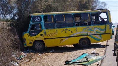 معظمهم صغار.. إصابة 12 عاملا في حادث تصادم ميني باص بشجرة بالإسماعيلية 