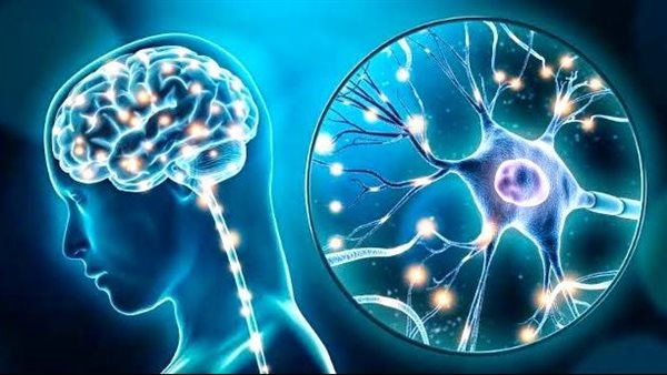 الأمراض التنكسية