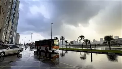 الإمارات تستعد لموجة أمطار غزيرة ورعد وبرق مع تحرك منخفض جوي