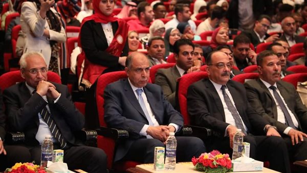 محافظ المنيا