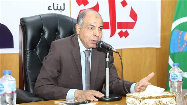 محافظ المنيا