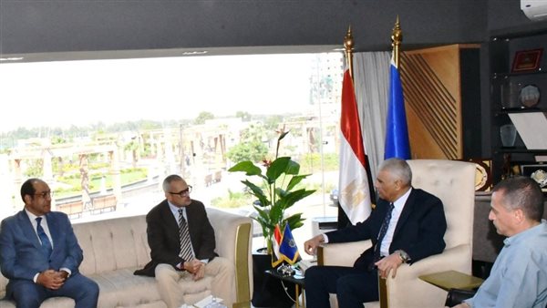 محافظ أسوان