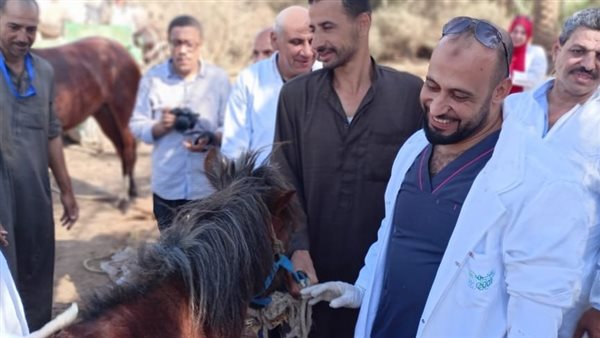  علاج وفحص 1170 حصان