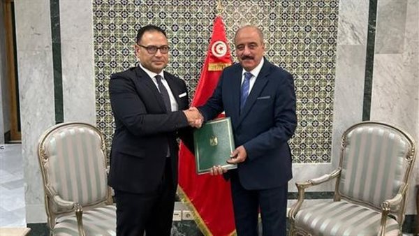 السفير المصري ووزير