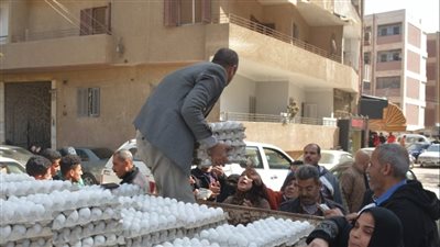 لدعم الأهالي مع بداية الدراسة.. الزراعة تضخ كميات كبيرة من البيض والكرتونة بـ150 جنيها| بث مباشر
