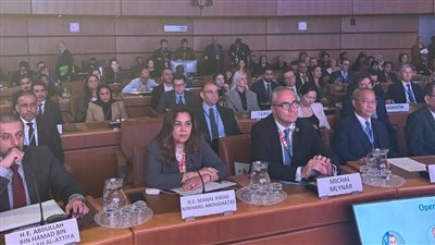 وزيرة التنمية المحلية تشارك في منتدى جسور المدن بالنمسا