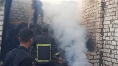 مصرع شخص ونفوق رأسي ماشية في حريق حظيرة مواشٍ بأسيوط