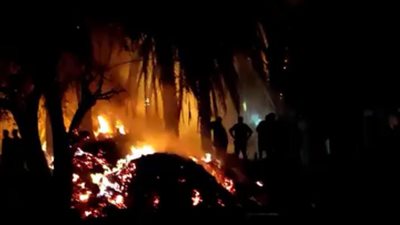 السيطرة على حريق في الزراعات والنخيل بالمنيا