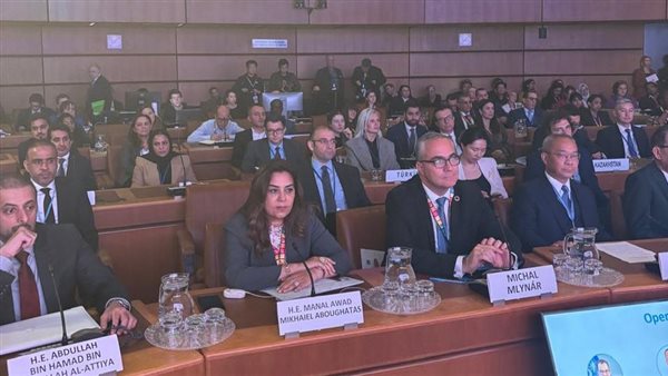 وزيرة التنمية المحلية