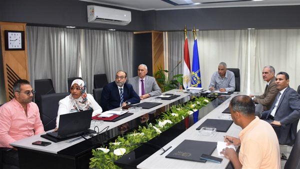 محافظ أسوان