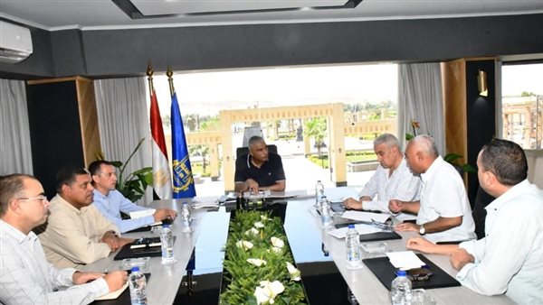 محافظ أسوان