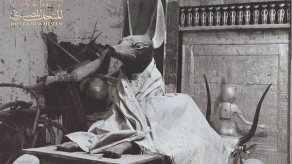  صور فريدة لـ مقصورة