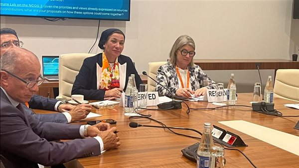 جانب من اجتماع البيئة