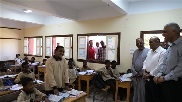 محافظ أسوان