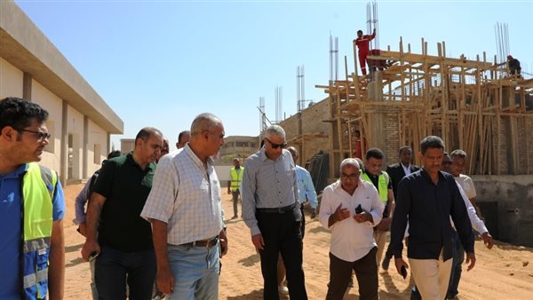 محافظ أسوان