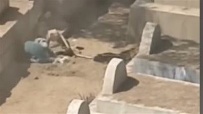 الأمن يفحص فيديو نبش أحد الأشخاص مقابر الموتى والعبث بها في الخانكة 