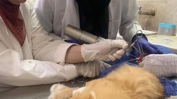 بيطري الغربية ينجح