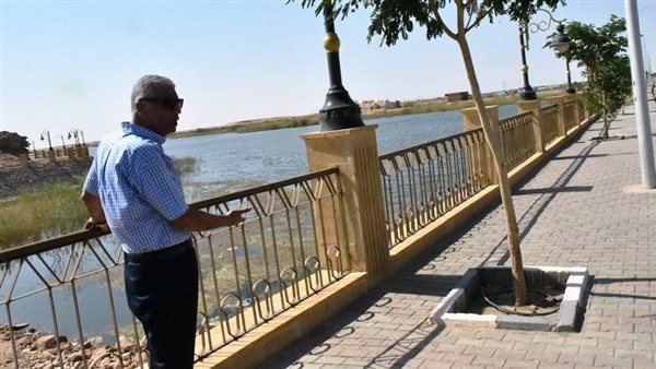 محافظة أسوان