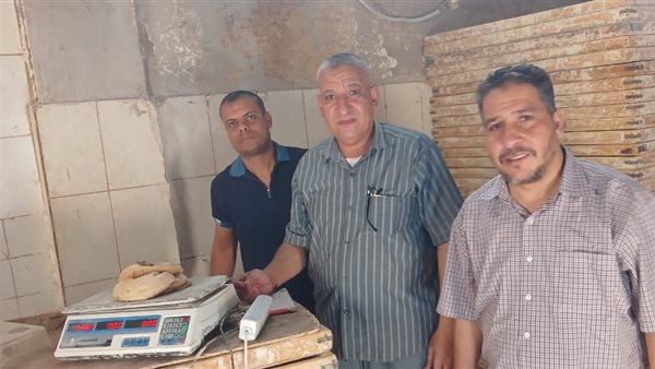 حملة تموينية بأسيوط