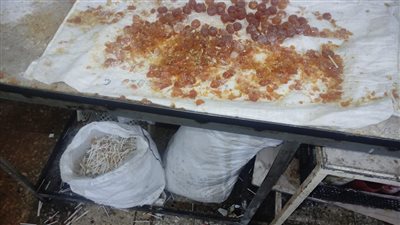 صحة القليوبية تضبط 600 كجم من المخلل و1500 كجم من المصاصات غير المطابقة للمواصفات