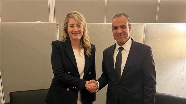 وزيرا خارجية مصر