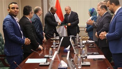  الحكومة المصرية توقع اتفاقية لتركيب محطة لتوليد الكهرباء في جيبوتي