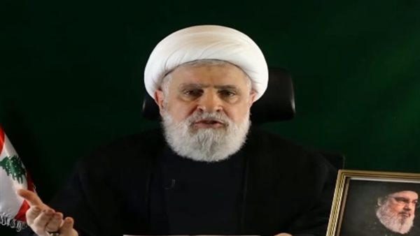 نعيم قاسم أمين عام