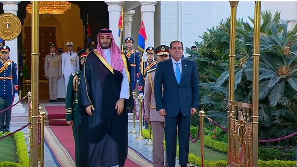 السيسي وبن سلمان