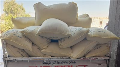 ضبط 2 طن ردة بدون فواتير وتحرير 211 محضر خلال حملات تموينية بأسيوط 