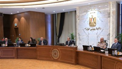 رئيس الوزراء: يونيو المقبل موعد دخول المرحلة الأولى لمشروع الربط الكهربائي مع السعودية للخدمة