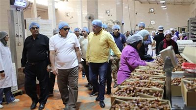 محافظ الوادي الجديد يوجه بتدبير عمالة إضافية لمجمع التمور