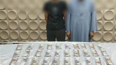 القبض على تشكيل عصابي وصاحب مخزن خردة في حملات أمنية بالقاهرة