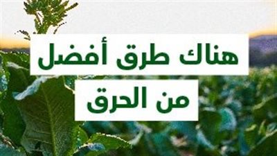 بدلًا من الحرق.. بدائل صحية لاستثمار المخلفات الزراعية