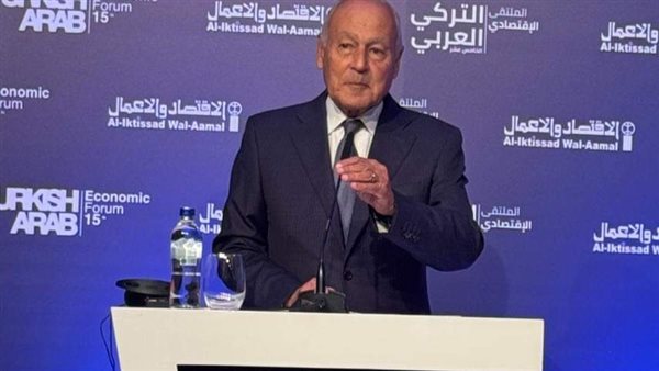 أحمد أبو الغيط