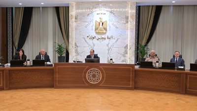 منها تعديل قانون صندوق مكافحة الهجرة غير الشرعية.. قرارات الحكومة في أسبوع